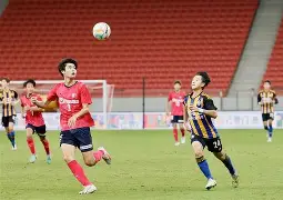 奇异果- 切尔西 卡拉斯 